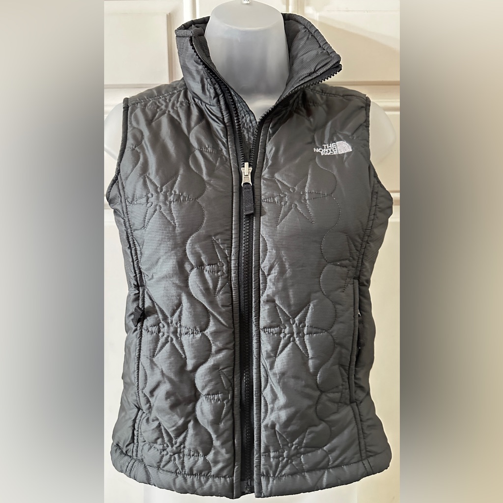 The North Face Very Cute Sleeveless Vest In Perfect Condition.